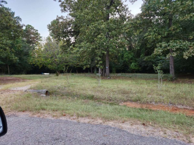 1 46 acre LOT with ELECTRICY WATER N SEPTIC  N  2 DRIVEWAYY - Thumbnail 3