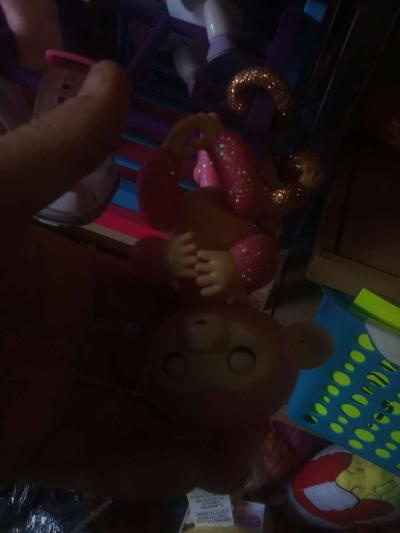 fingerlings 5 dollars  each - Thumbnail 4