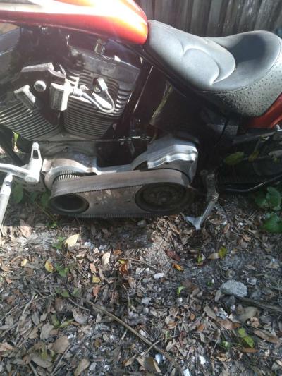 2009 Big Bear chopper - Thumbnail 2