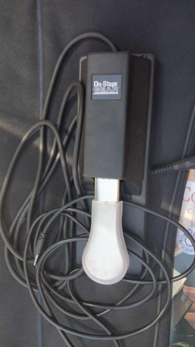 Full setup Casio WK7500 with extras - Thumbnail 4