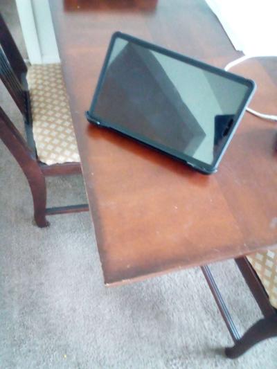 otter ipad - Thumbnail 2