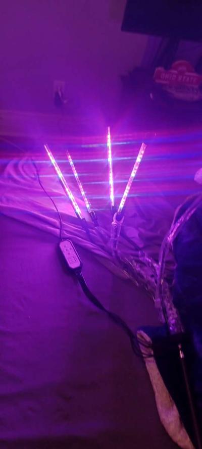 GREENHUT GROWTENT 96INCHES BY 48INCHES BY 78INCHES 600D - Thumbnail 3