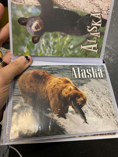 picture album - Thumbnail 6