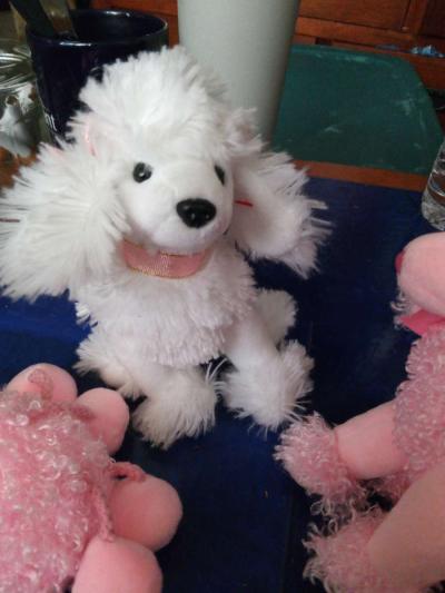 TY L amore beanie baby