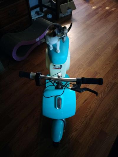 razor pocket pod petit - Thumbnail 3