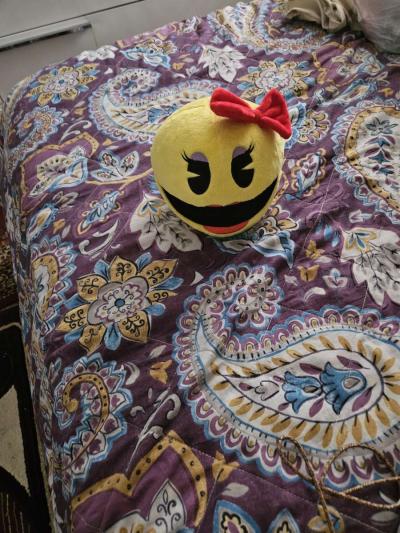 Miss Pac Man - Surprise, Arizona