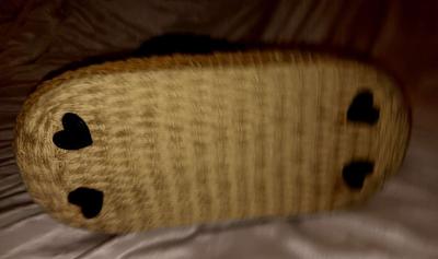 Brighton brand new large purse - Thumbnail 3