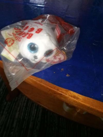 TY Beanie Boo  SAEMORE THE SEAL