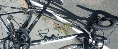 Specialized Roubaix Pro - Thumbnail 4