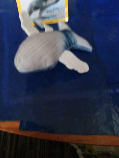 National Geographic humpback whale - Thumbnail 4