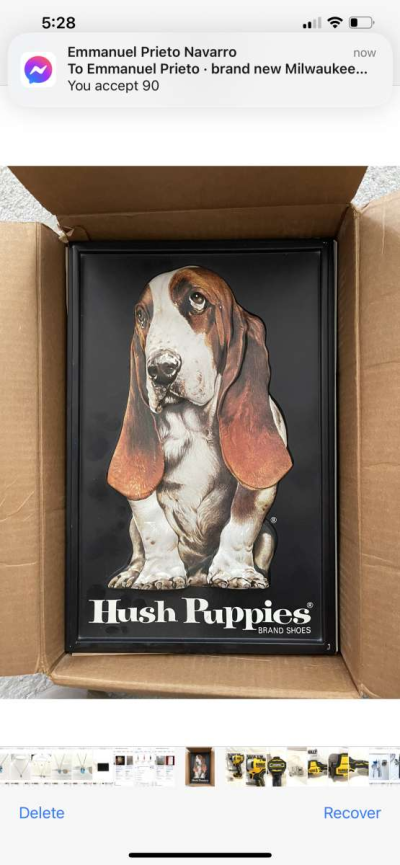 Orginal 1960s Hush puppies Shadowbox 3D store display sign - Vacaville, California
