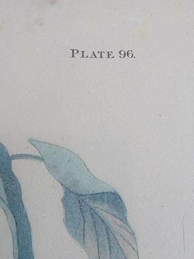 old print - Thumbnail 2