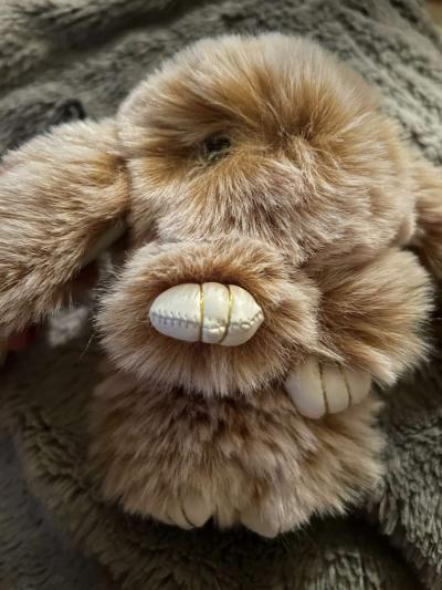 bunny key chain - Garland, Texas