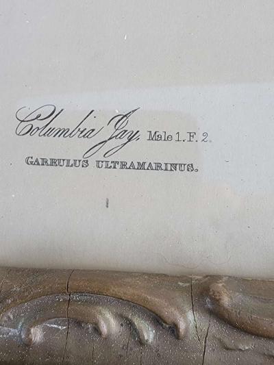 old print - Thumbnail 5