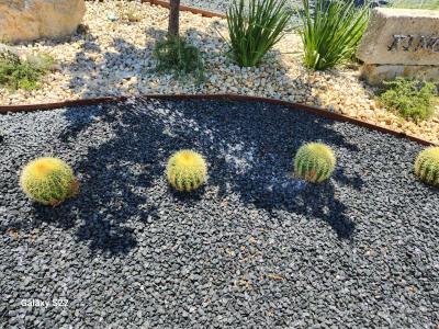 Landscape - Thumbnail 5