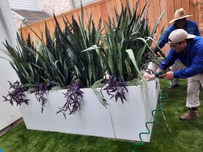 no sale  landscape Instalation - Abilene, Texas