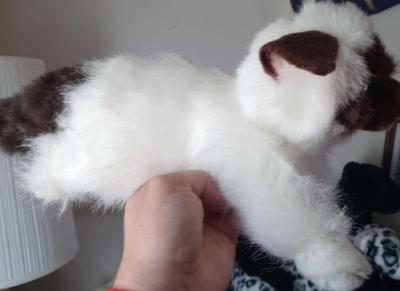 3 BRAND NEW SIAMESE PLUSH COLLECTOR CATS 5 EACH - Thumbnail 2