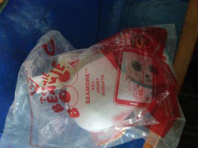 TY Beanie Boo  SAEMORE THE SEAL - Thumbnail 4
