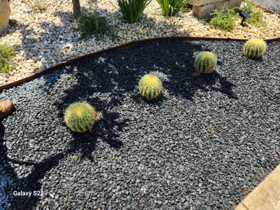 Landscape - Thumbnail 6