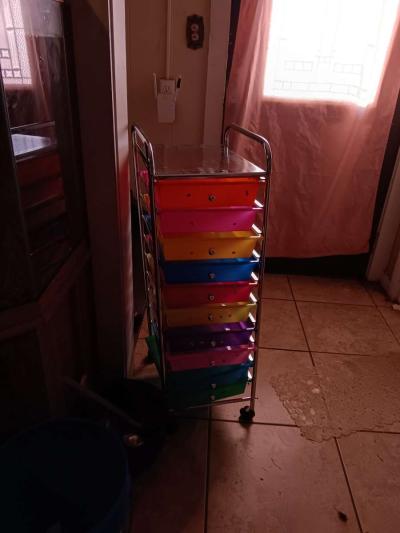 toy holder - Dade City, Florida