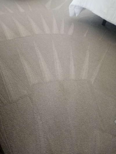 House Clining - Thumbnail 3