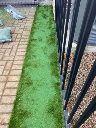 landscape - Thumbnail 2