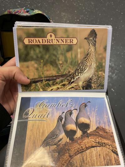 picture album - Thumbnail 2