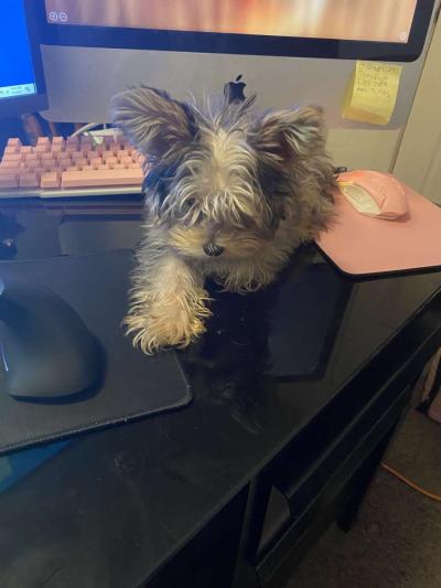 earrings and keychains - Thumbnail 3