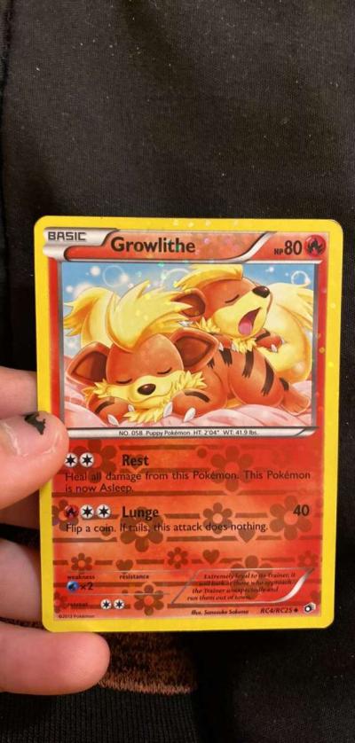 growlithe - La Porte, Texas