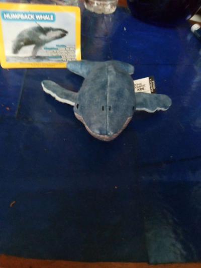 National Geographic humpback whale - Thumbnail 3