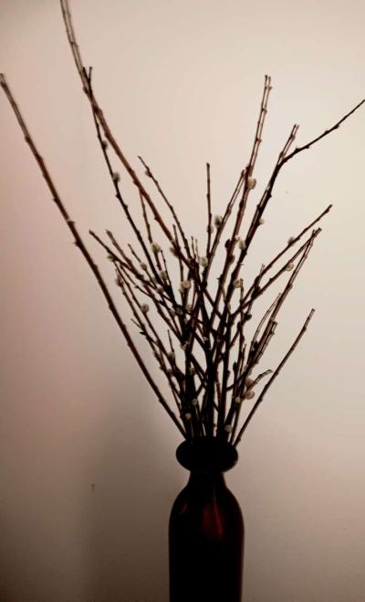 copper 2 ft tall vase decor with another 20 in of pushy will - Thumbnail 5