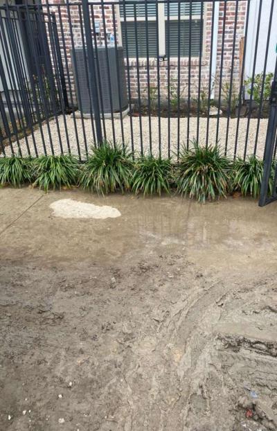 landscape - Thumbnail 6