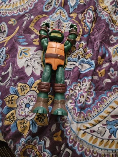 Teenage Mutan Turtle - Surprise, Arizona