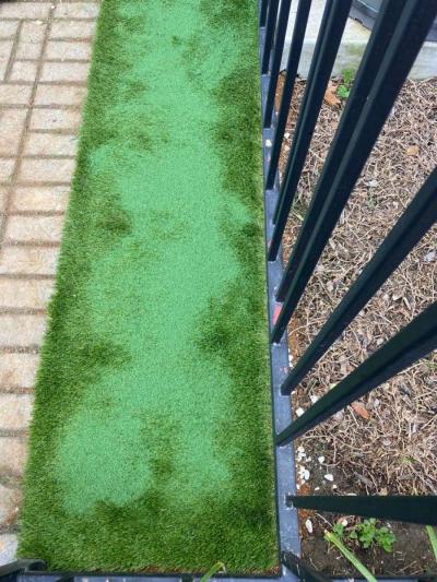 landscape - Thumbnail 3