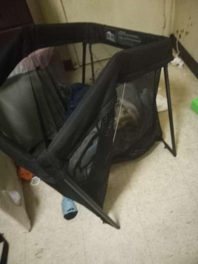 bby day bed - Thumbnail 3