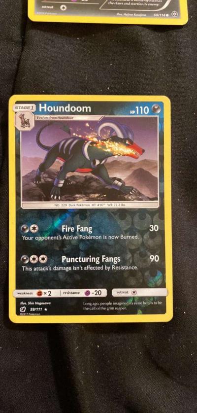 houndoom - La Porte, Texas