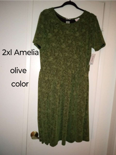 NWT LuLaRoe 2XL Dresses Fit size 22 to 24 info last pics - Thumbnail 3