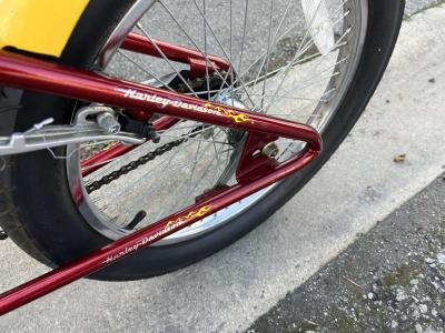 Harley Davidson bike bicycle rare collector - Thumbnail 6