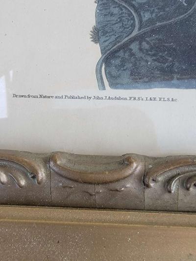 old print - Thumbnail 4