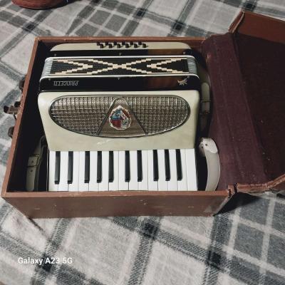 Princetti Acordian - Thumbnail 2