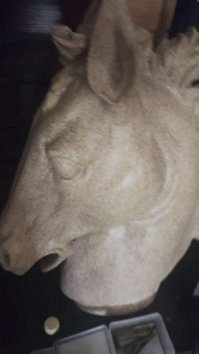horse head