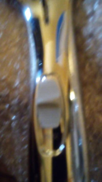 spa Brand shower head  stainless steel Hose easy attachment - Thumbnail 3