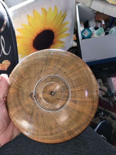 norfolk island pine vessel - Thumbnail 2