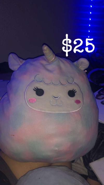 Squishmallows - Citrus Heights, California