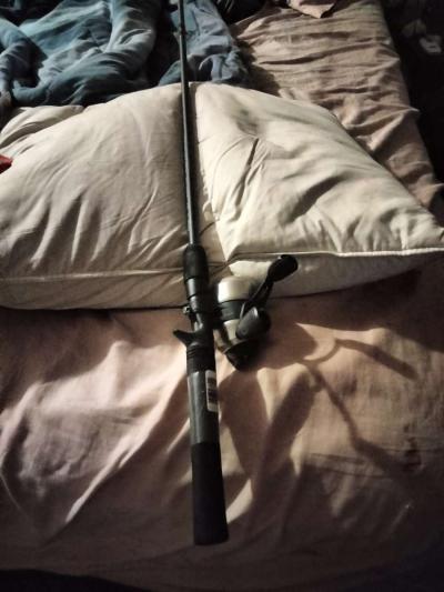 fish rod - Thumbnail 2