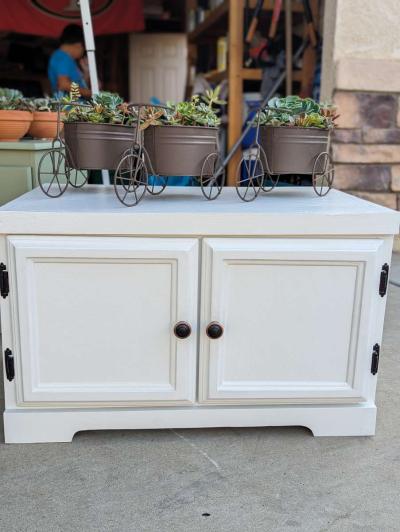 Plants and Arrangements - Thumbnail 5