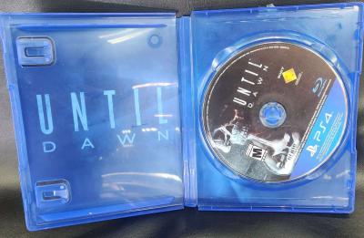 Until Dawn - Thumbnail 3