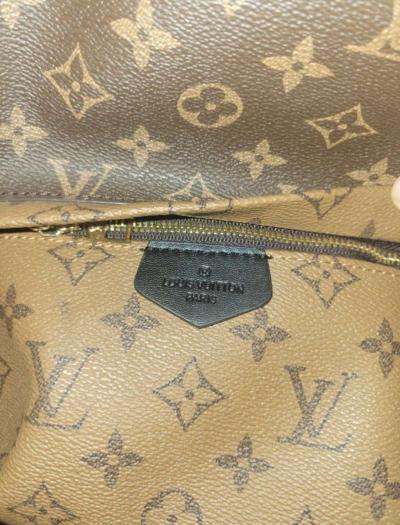 Louis Vuitton Palm Springs Mini - Thumbnail 4