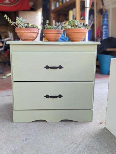 Plants and Arrangements - Thumbnail 2