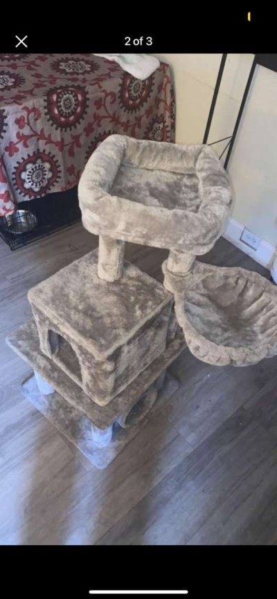 cat play area - Thumbnail 2